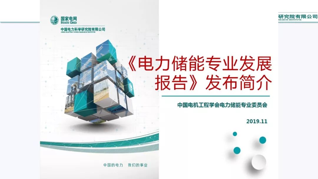 電力儲能專業(yè)發(fā)展報告